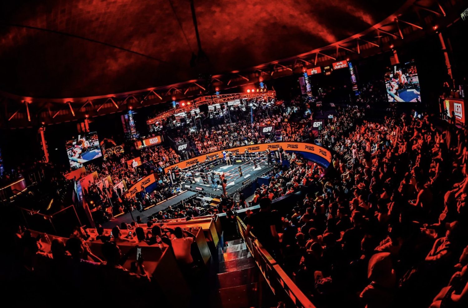 Watch Muay Thai match in Bangkok 