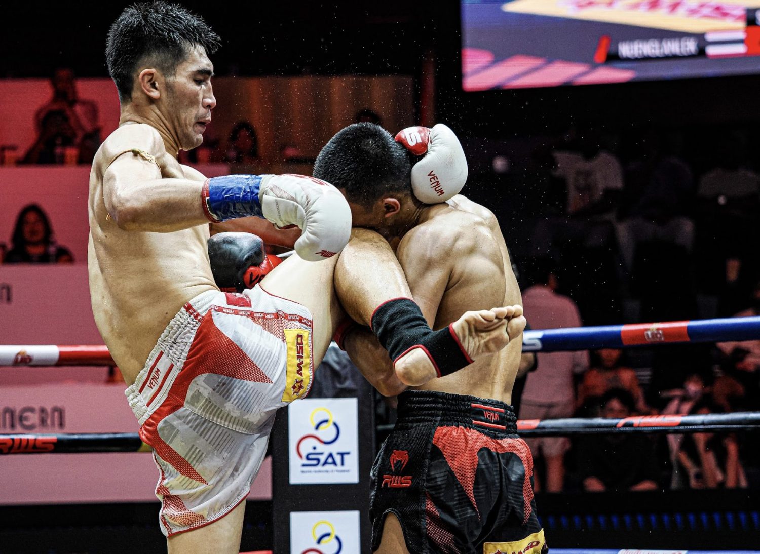 Muay Thai Knees technique